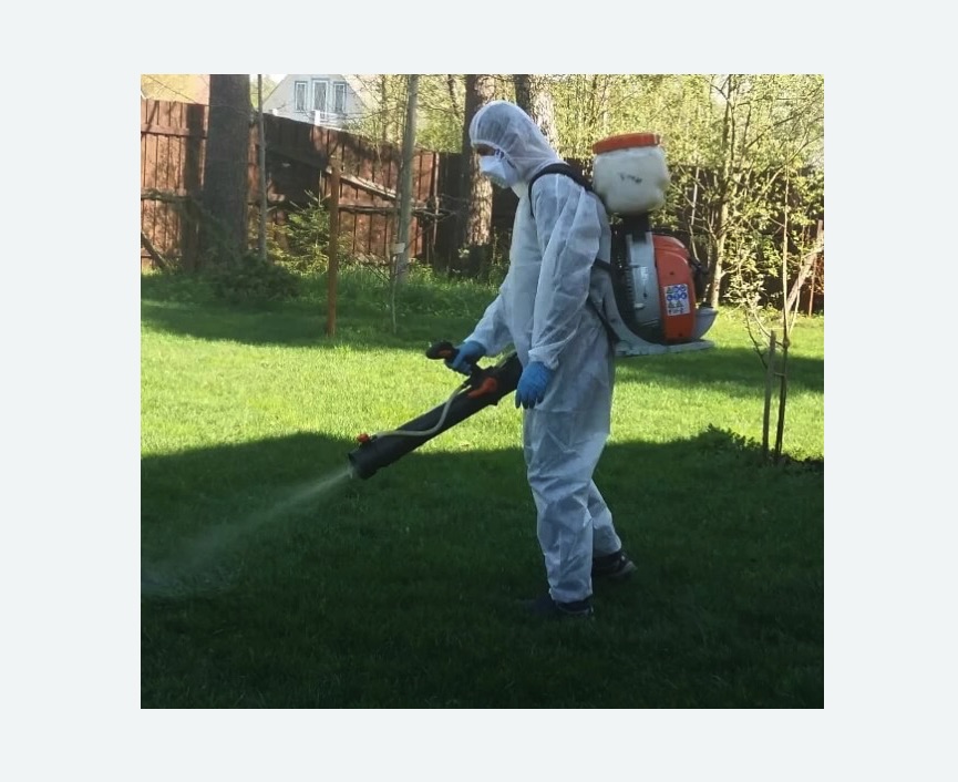 Обработка территории от клещей в Новой Ладоге