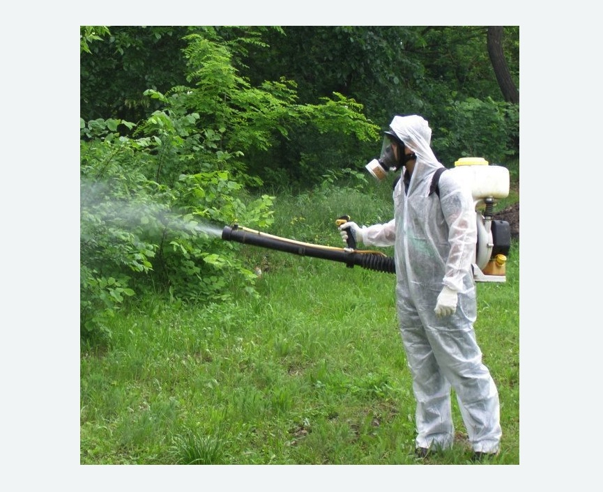 обработка дачи от клещей обработка территории от клещей в Новой Ладоге