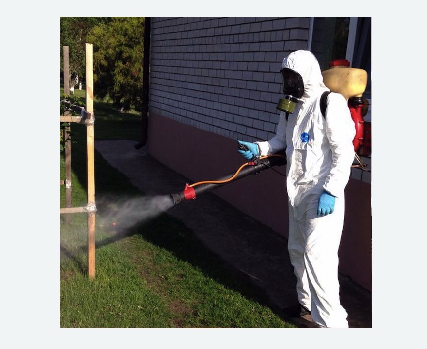 уничтожение клещей на участке травля клещей на участке в Новой Ладоге