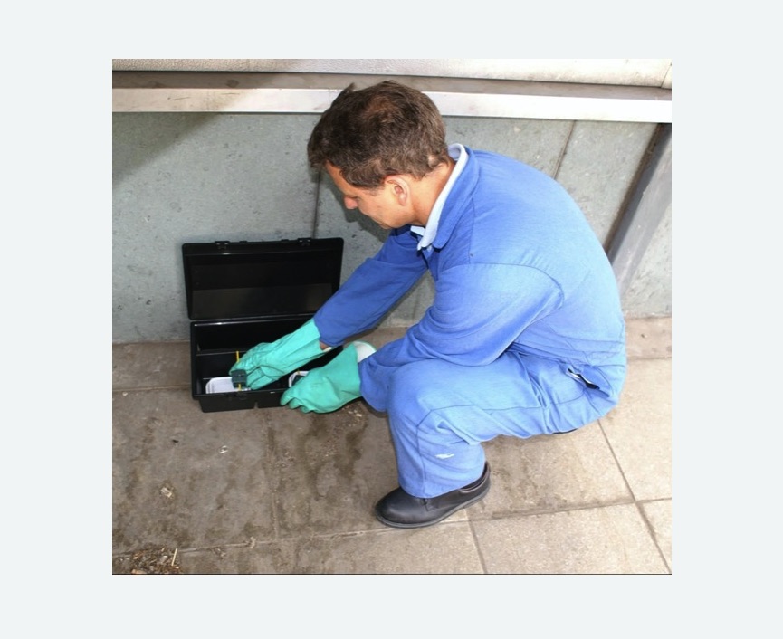 Уничтожение мышей в Новой Ладоге Уничтожение мышей