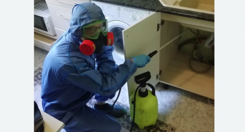 Уничтожение муравьев в квартире. Новая Ладога