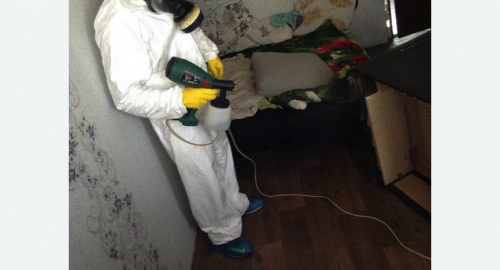 Обработка квартир от насекомых в Новой Ладоге