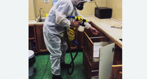 Дезинсекция квартиры. Новая Ладога