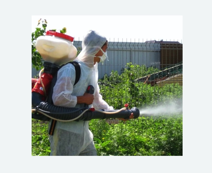 Акарицидная обработка территории в Новой Ладоге