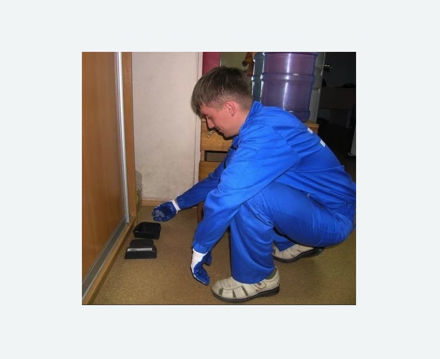 Дератизация крыс в Новой Ладоге