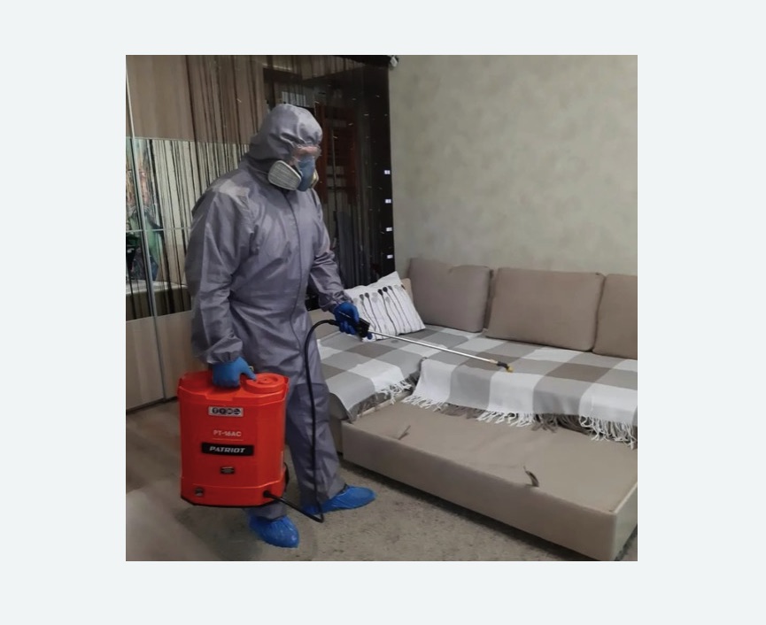 Обработка квартиры от блох в Новой Ладоге Обработка квартиры от блох