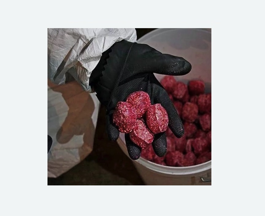 Обработка от крыс в Новой Ладоге