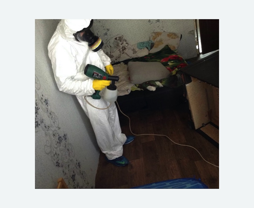 Обработка от насекомых в Новой Ладоге Обработка квартиры от насекомых