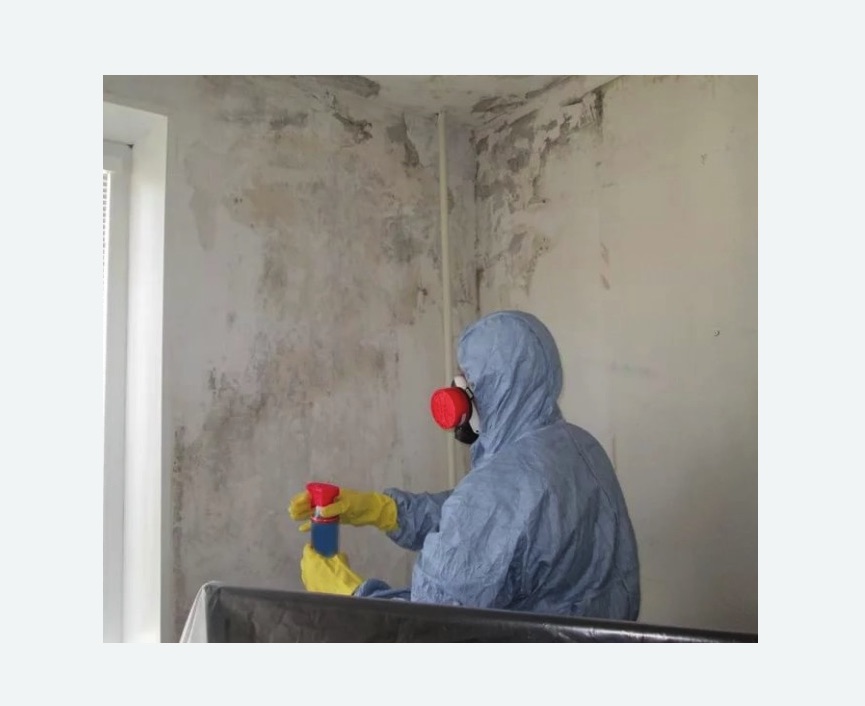 Удаление плесени в квартире в Новой Ладоге