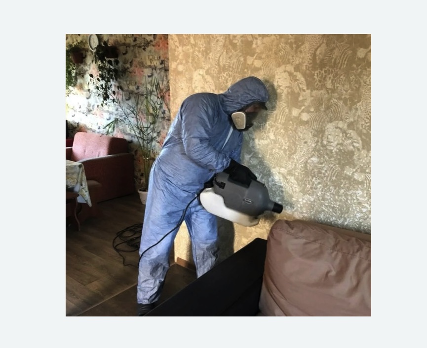 Уничтожение блох в квартире. Новая Ладога Уничтожение блох в квартире