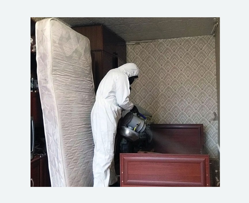 дезинфекция от клопов дезинфекция от клопов в Новой Ладоге