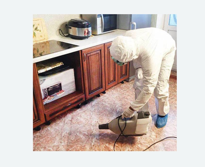 обработка квартиры от клопов в Новой Ладоге обработка квартиры от клопов