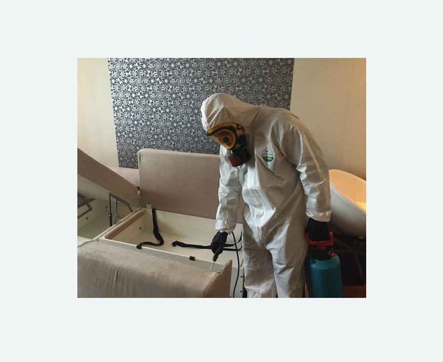 уничтожение клопов в квартире уничтожение клопов в квартире в Новой Ладоге