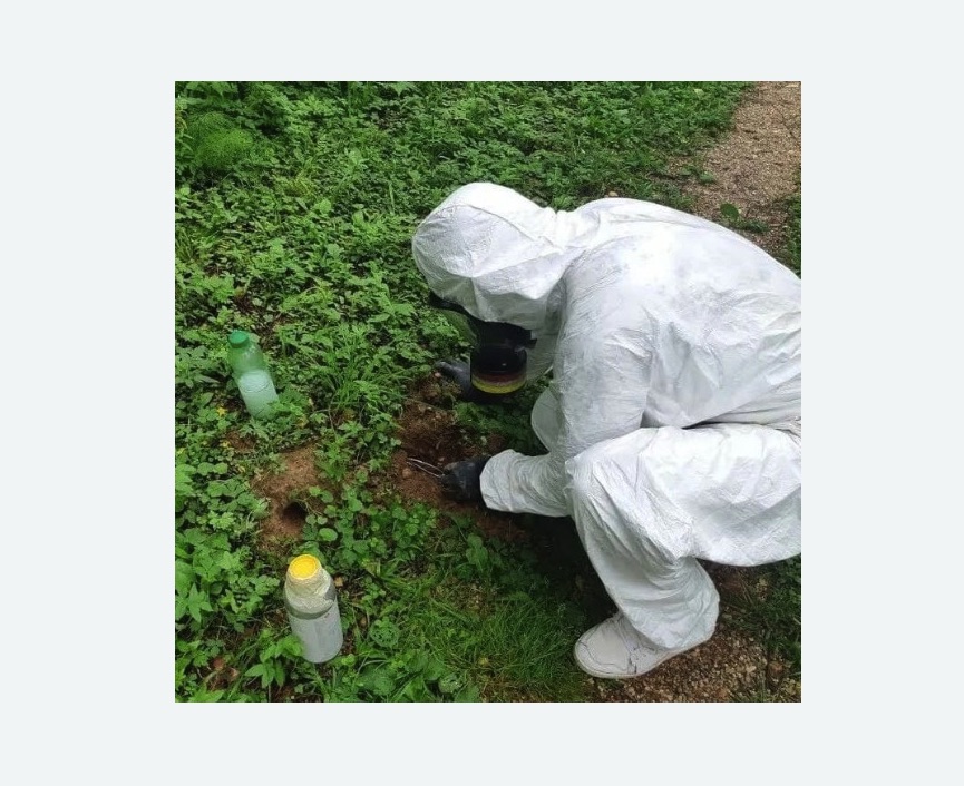 уничтожение кротов на участке уничтожение кротов на участке в Новой Ладоге