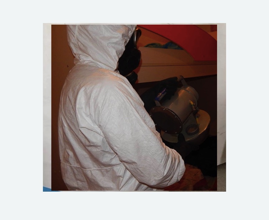 Дезинфекция от муравьев Дезинфекция от муравьев в Новой Ладоге