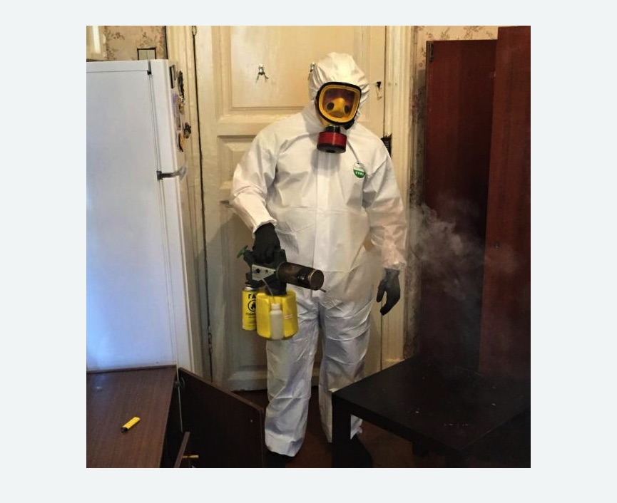 уничтожение муравьев в квартире уничтожение муравьев в квартире в Новой Ладоге